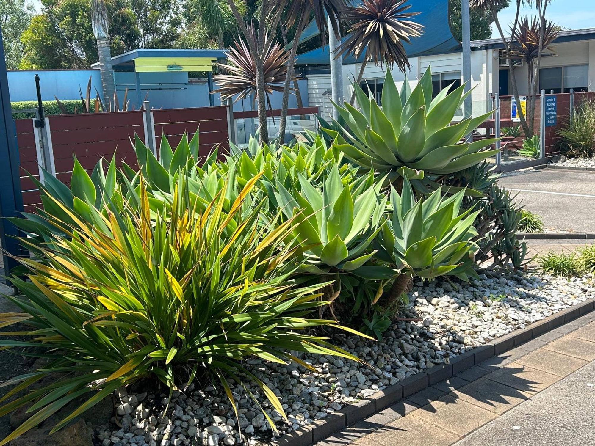 Portarlington Beach Motel Екстериор снимка